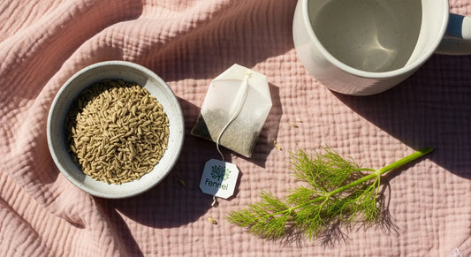 Does Fennel Increase Milk Supply? Everything You Need to Know