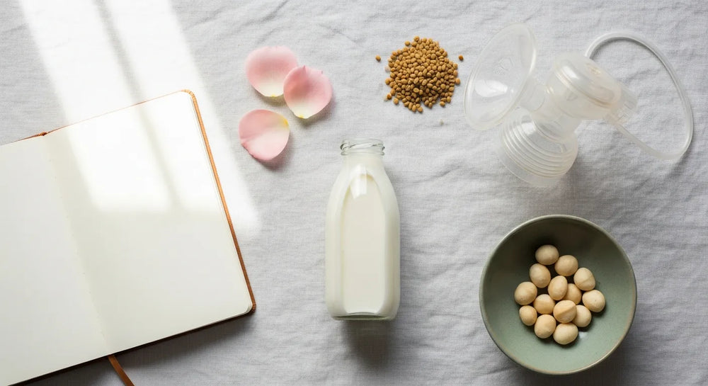 Increase Your Milk Supply Before Birth: A Prep Guide